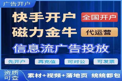 大型SEM服务公司案例分析